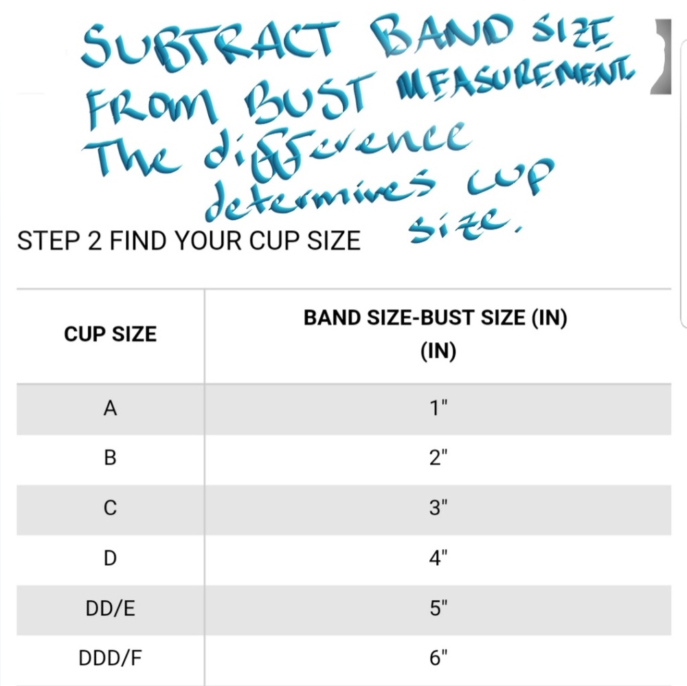 NWT Honeydew Isabella Bra 34A & 30B - Picture 8 of 8